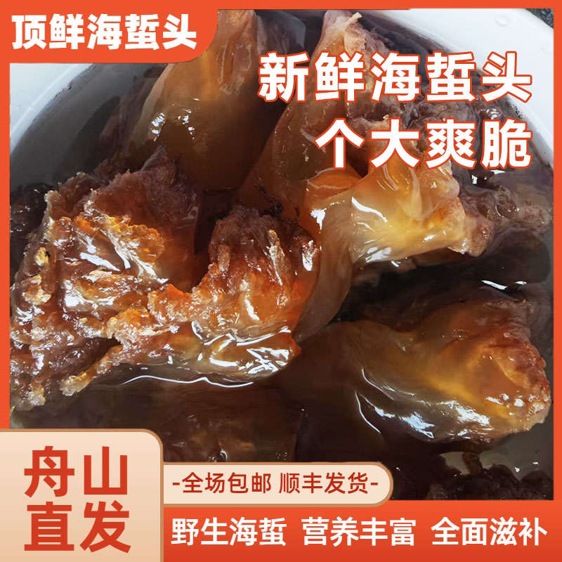 5斤桶装舟山两头洞海蜇头自产自销红海蜇头非即食凉拌菜顺丰包邮