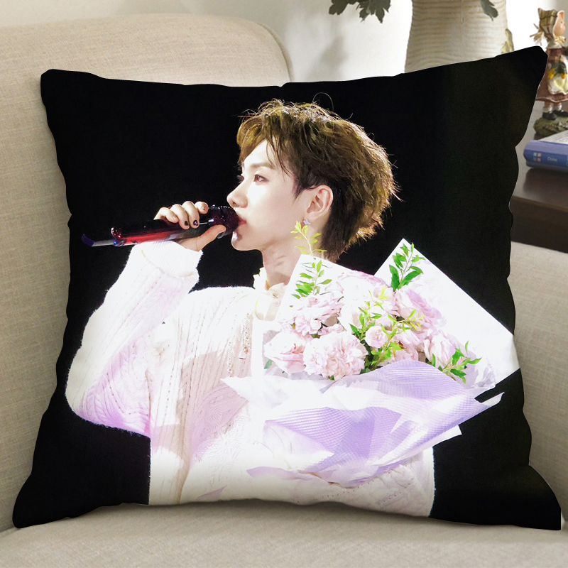 汪苏泷周边定制抱枕十万伏特演唱会同款创意礼物抱枕女生睡觉专用
