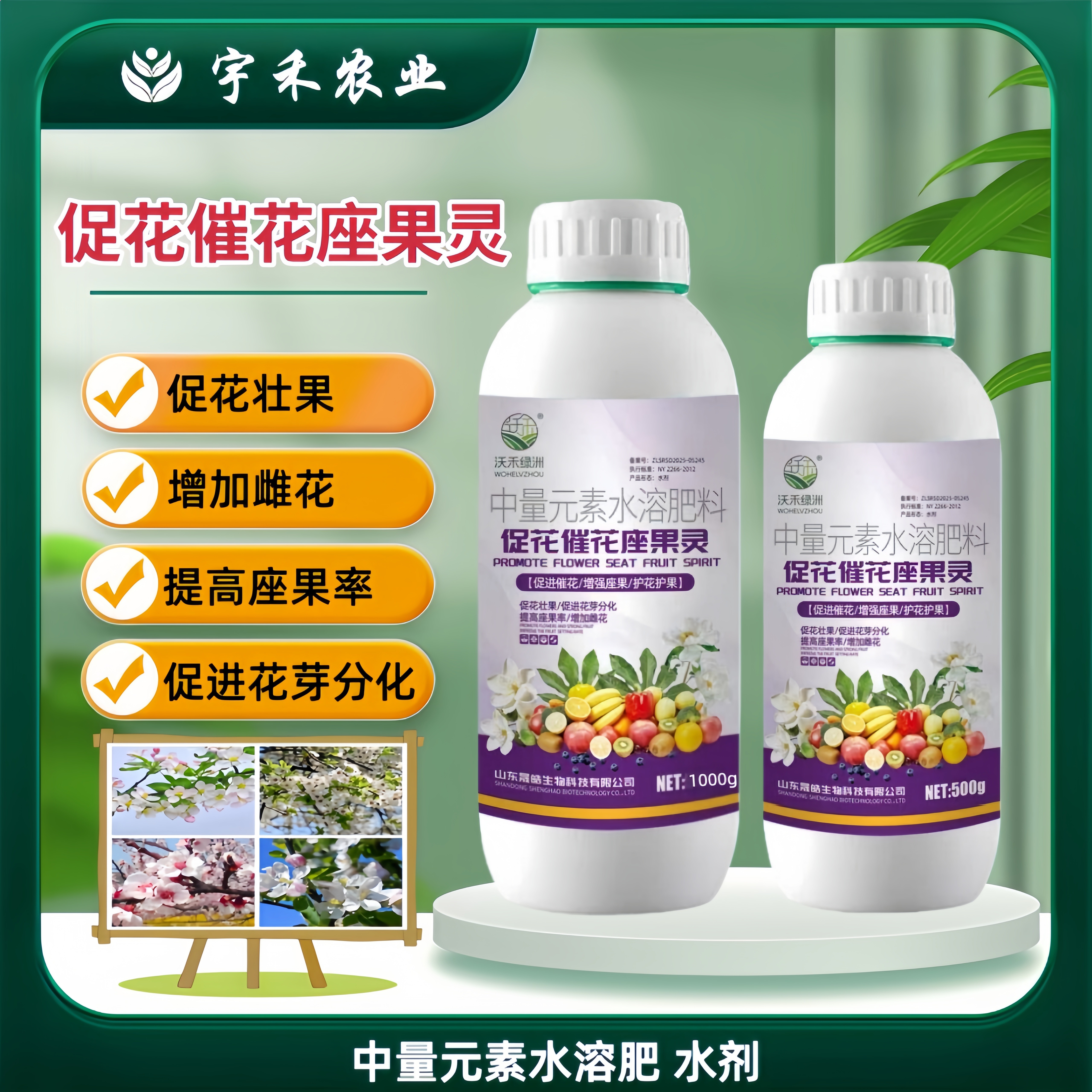 促花摧花座果灵龙眼荔枝蔬菜果树提高花开座果率叶面肥