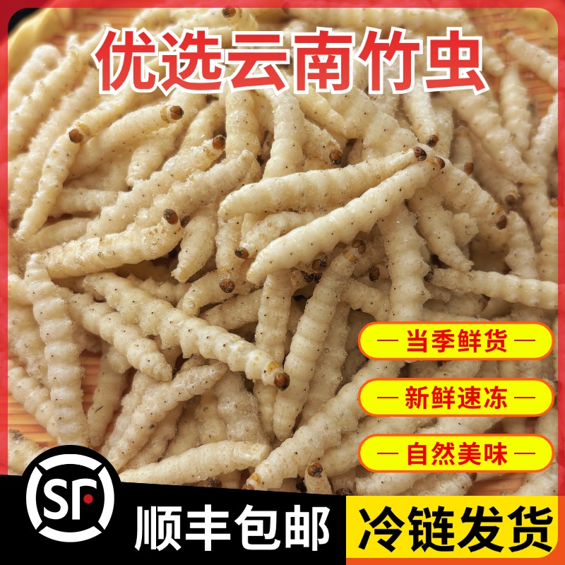云南竹虫竹蛹竹笋虫新鲜速冻竹节虫油炸香酥美味下酒菜