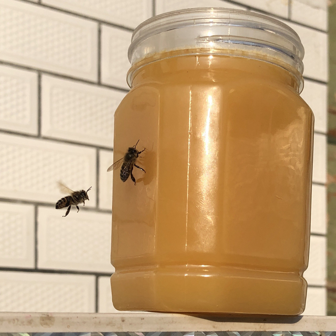 【假一赔十】甘肃天水深山结晶土蜂蜜、零添加