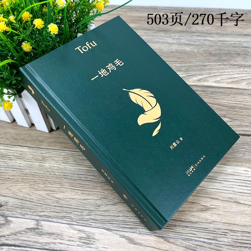 （一地鸡毛）经典现当代文学小说莫言冯仑上官正义路遥贾平凹