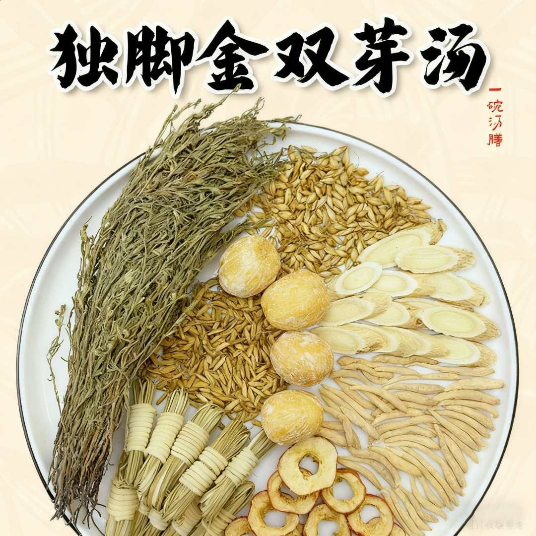 独脚金山楂儿童健脾开胃汤灯芯草麦芽谷芽太子参宝宝成长汤料包