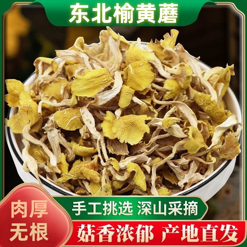 【稻香金界沟】东北榆黄蘑-250g*2袋山珍干货特产煲汤