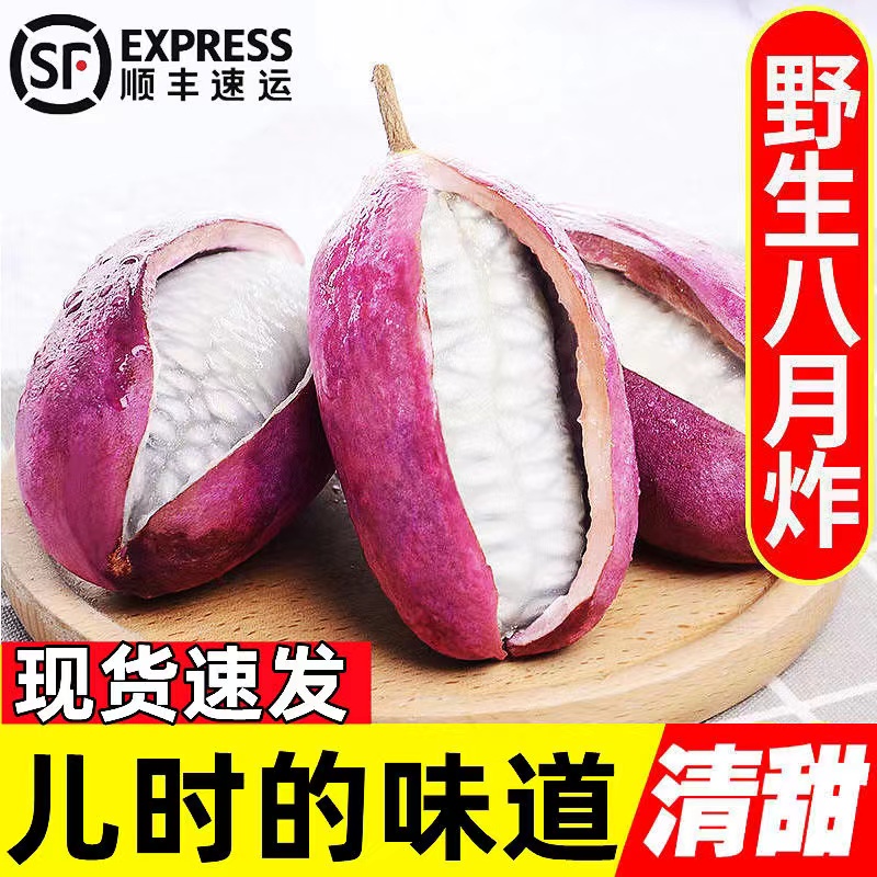 [顺丰包邮】野生八月瓜福建新鲜8八月炸预知子网红水果现摘木通果
