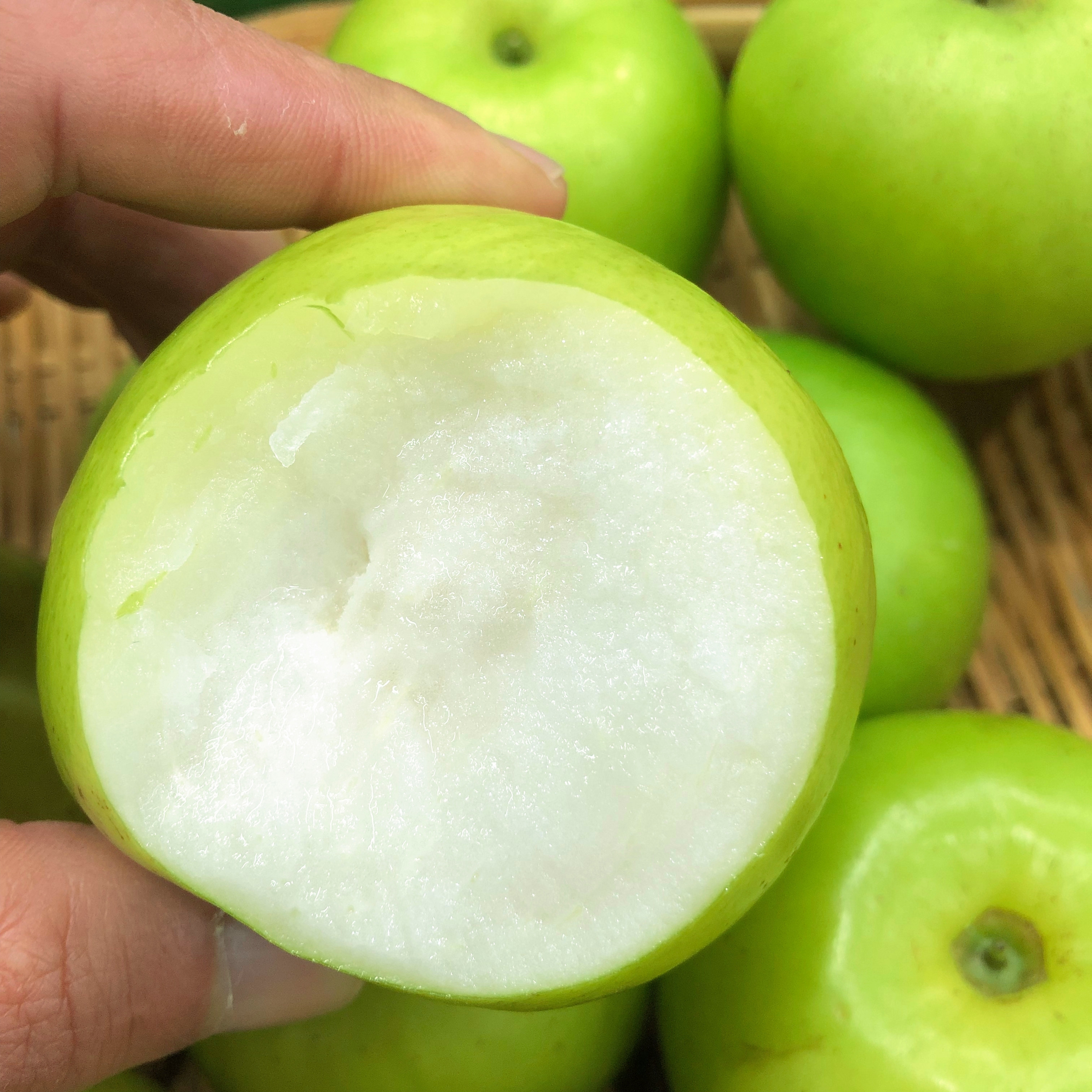 【新店特惠】西双版纳苹果枣应季水果新鲜采摘脆甜多汁口感清甜测糖