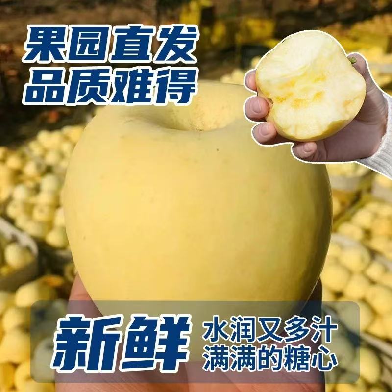 【含箱5斤】山东烟台奶油富士苹果脆甜多汁新鲜现摘当季水果25新果