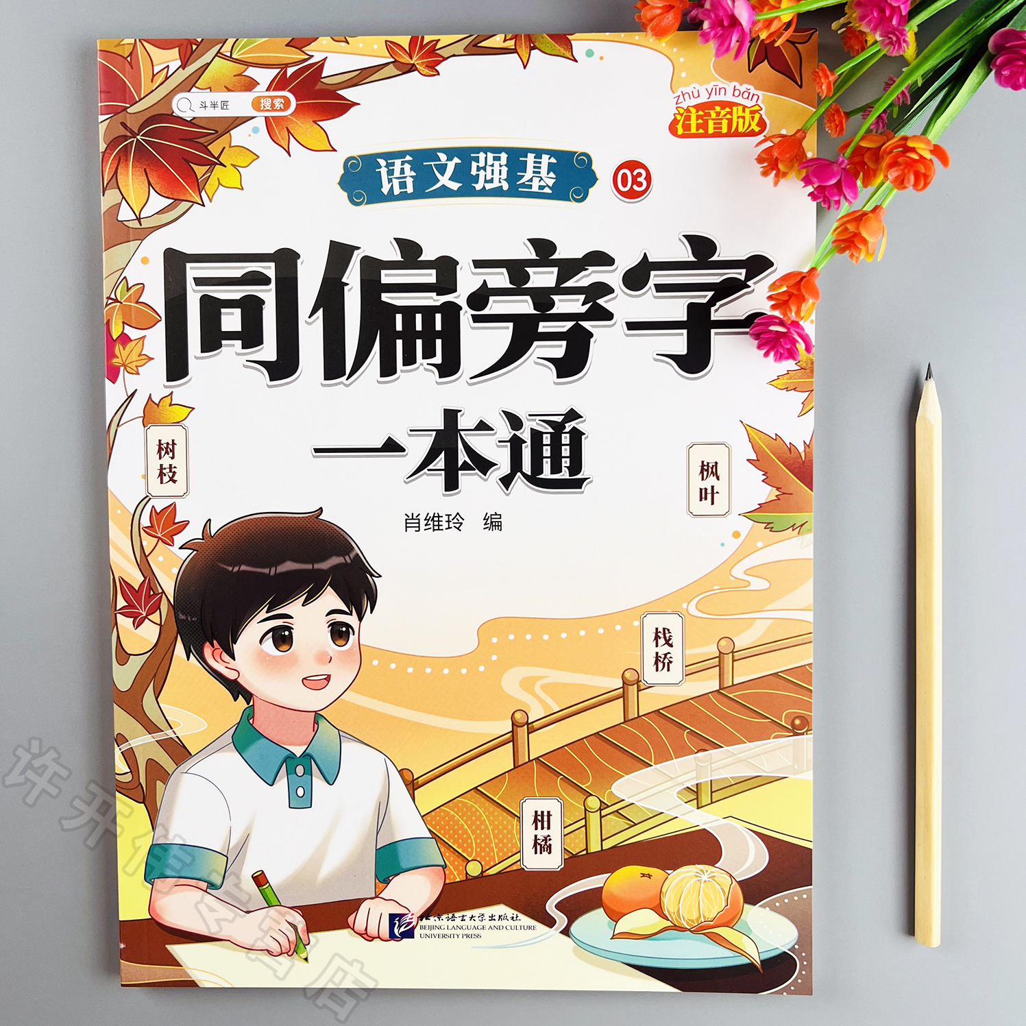 小学语文同偏旁字一本通同偏旁字同步练习册相同偏旁部首词语书