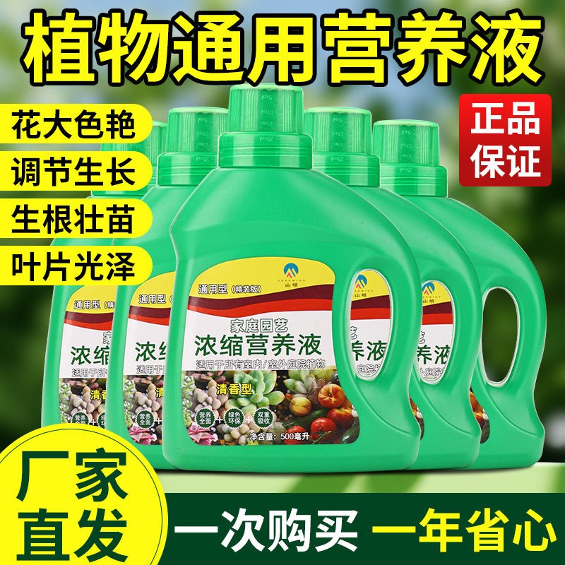 植物营养液通用型花肥发财树富贵竹绿萝水培盆栽家用花卉养花肥料