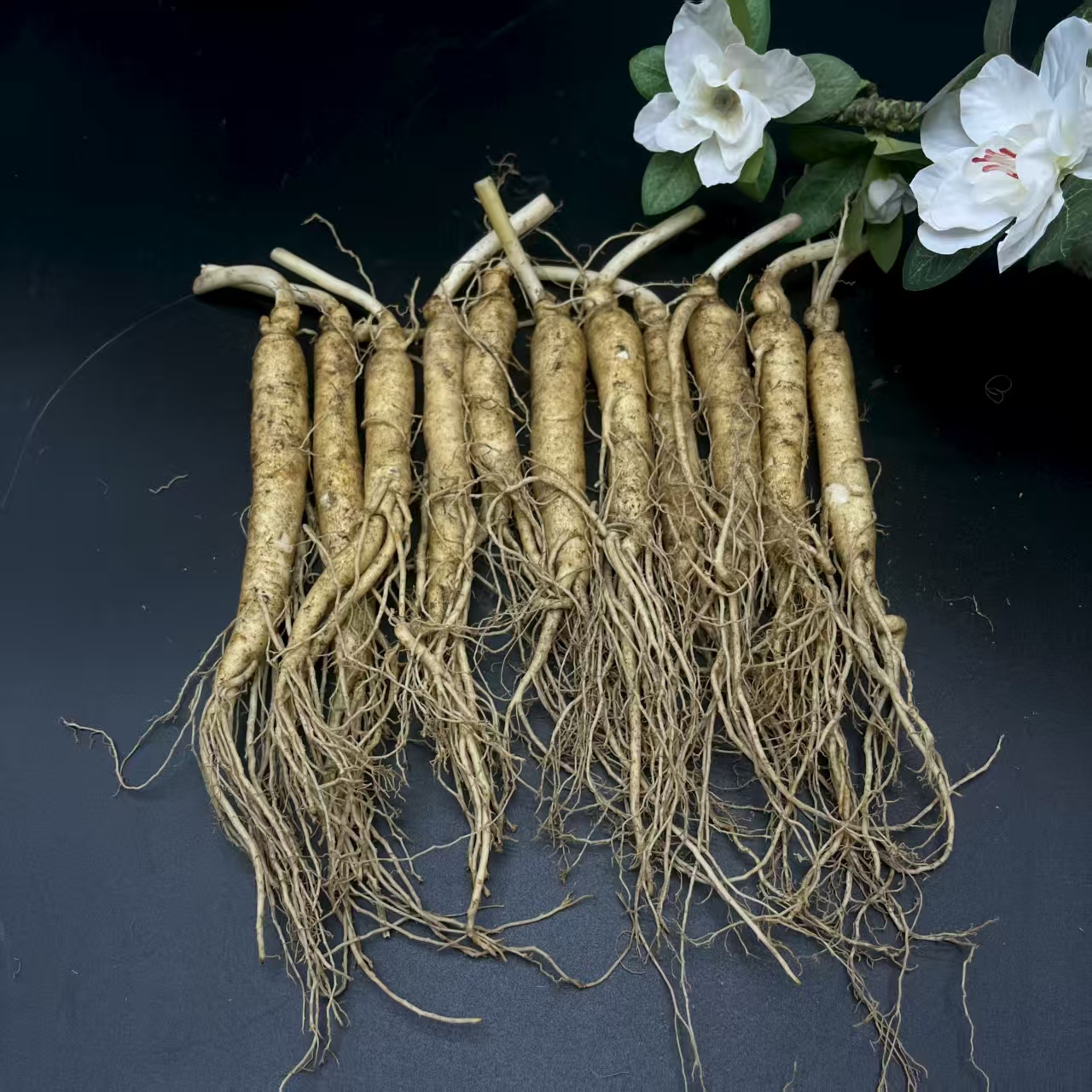 长白山吉林原产地新鲜人参单支25克左右泡汤经济实惠