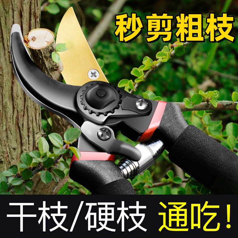 SK5剪枝剪刀园林花艺修剪树枝剪刀果树剪刀粗大花剪园艺剪子工具