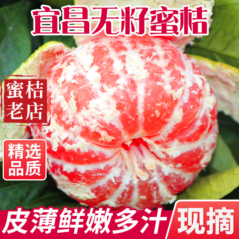 【树上自然熟】宜昌无籽蜜橘青皮桔子酸甜应季新鲜水果现摘整箱包邮