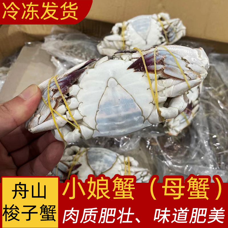 【冻蟹】舟山梭子蟹螃蟹二母蟹小娘蟹海蟹姑娘蟹海蟹2-3两/只 1斤起