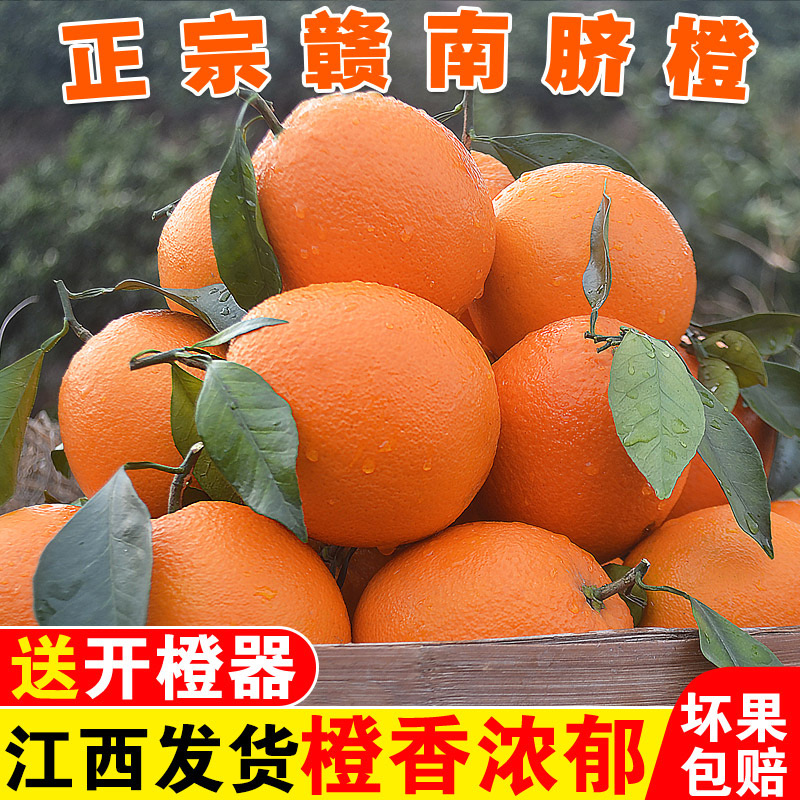 CZ【赣州直发】正宗江西赣南脐橙新鲜现摘应季水果产地直发多汁香甜