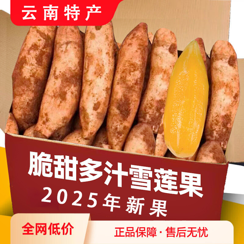 【云南特产】高山雪莲果新鲜水果黄心当季整箱云南天山应季水果现挖