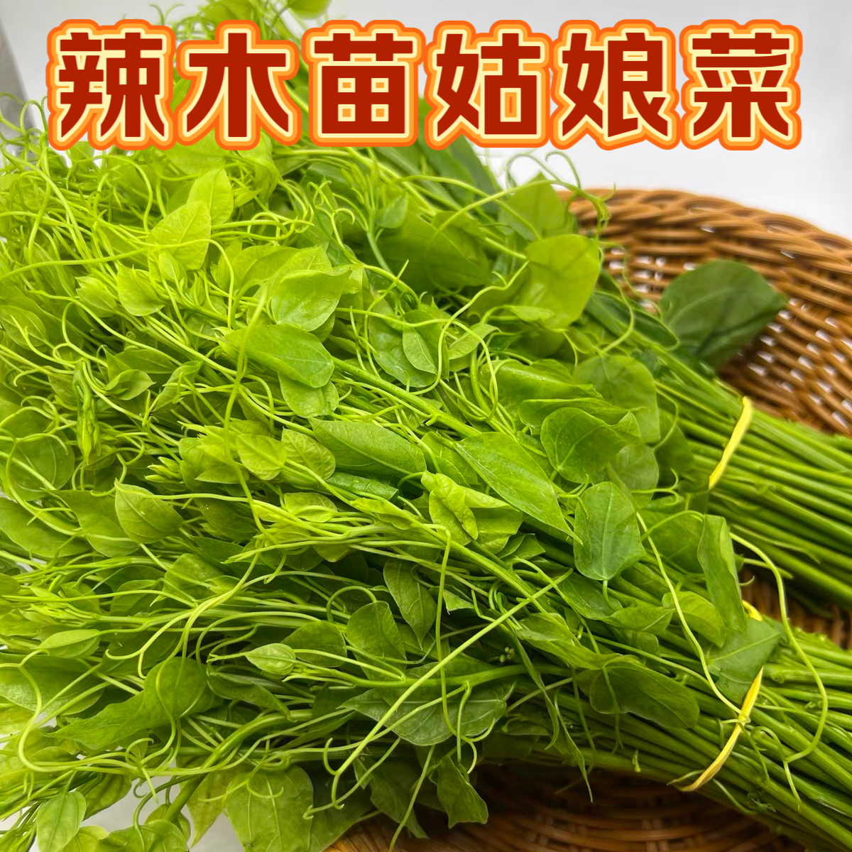 【顺丰包邮】新鲜辣木苗姑娘菜酒店食材辣木子苗赤苍藤龙须菜