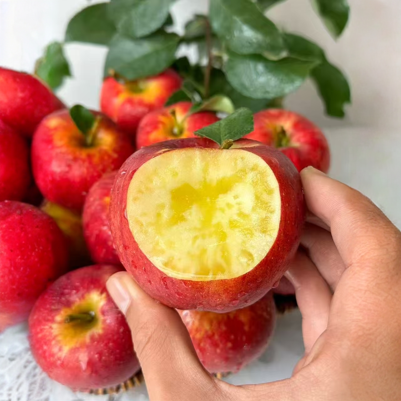 正宗云南昭通丑苹果冰糖心5A精选品质甜蜜当季新鲜水果现摘现发