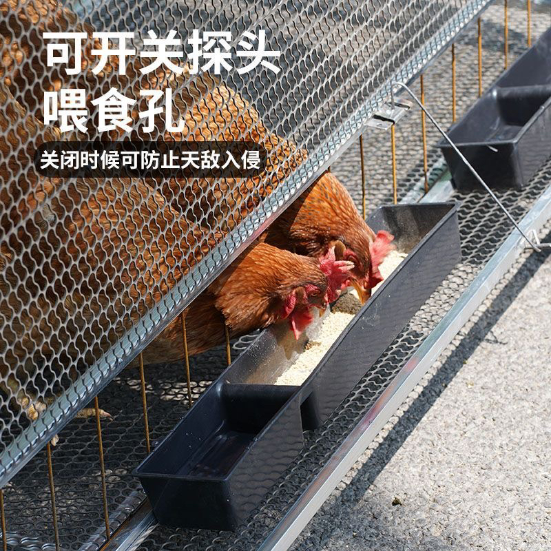 大号户外伸头鸡笼螺丝加固防蛇防鼠笼加密防黄鼠狼探头鸡笼鸭笼