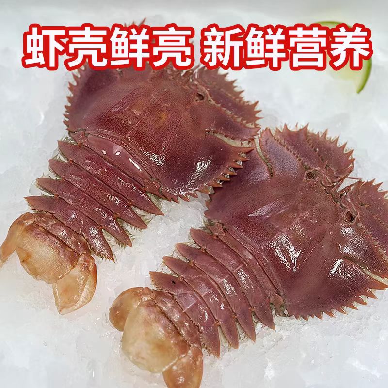 【渠鲜码头】东海台州速冻琵琶虾3斤