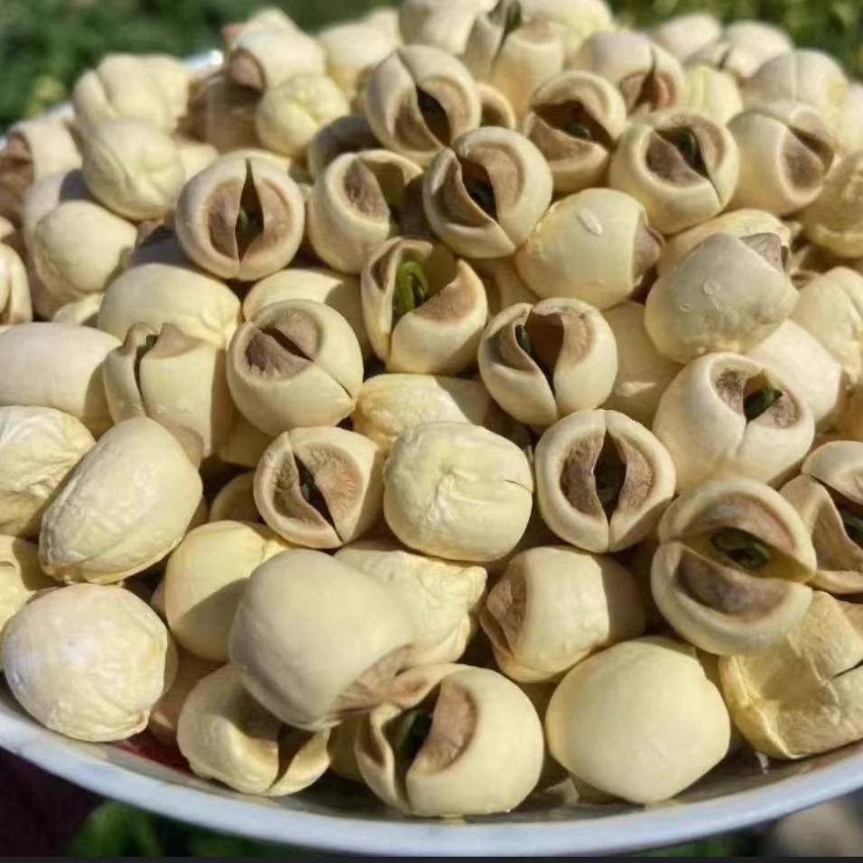 手工去芯白莲新货大颗粒无硫软糯清香可煲汤食用