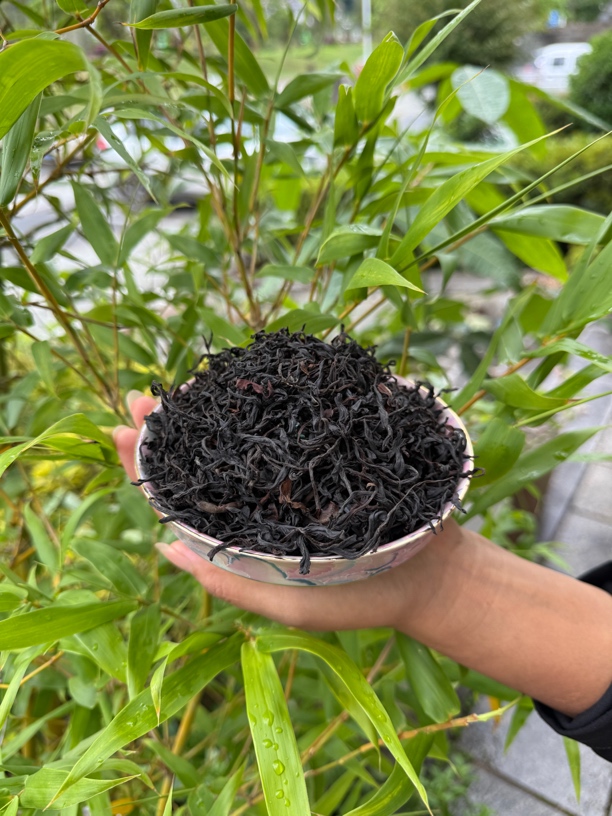 云南高原荒野古树红茶