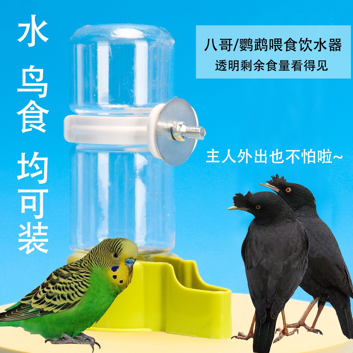 【大容量设计 不卡粮】自动喂食饮水器防漏宠物设计鹦鹉八哥喂水盒