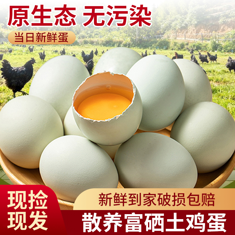 五谷散养溜达新鲜正宗土鸡蛋五黑鸡绿壳乌鸡蛋现捡现虫草散生态