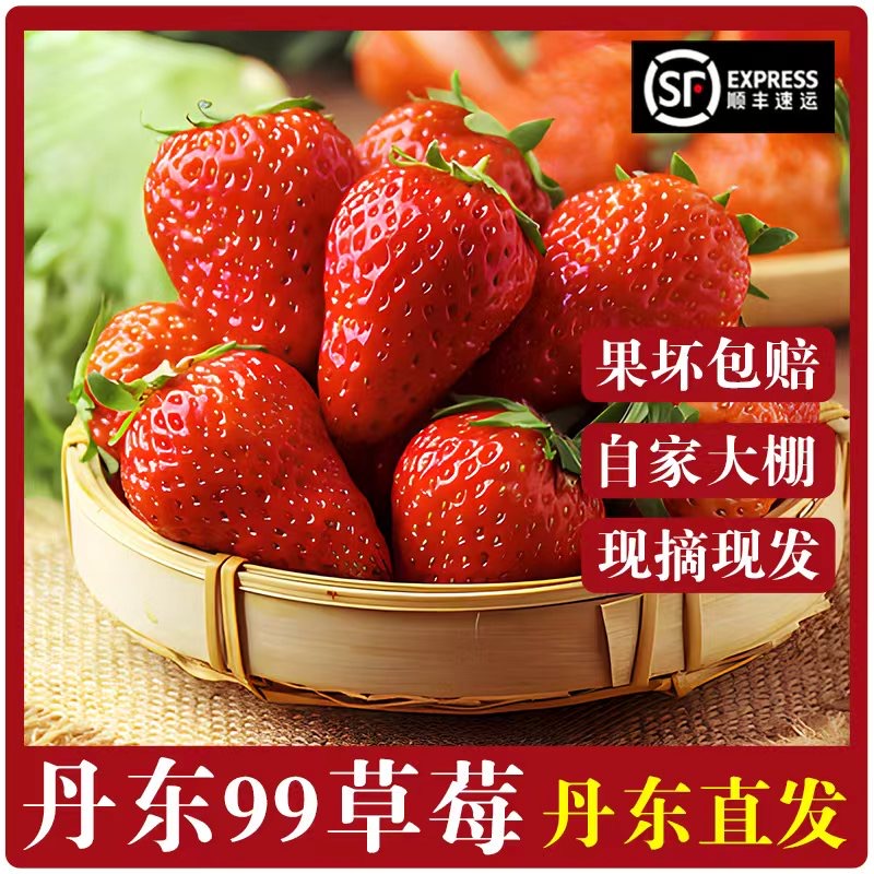 丹东99草莓新鲜采摘红颜孕妇水果顺丰空运核心产区香甜可口