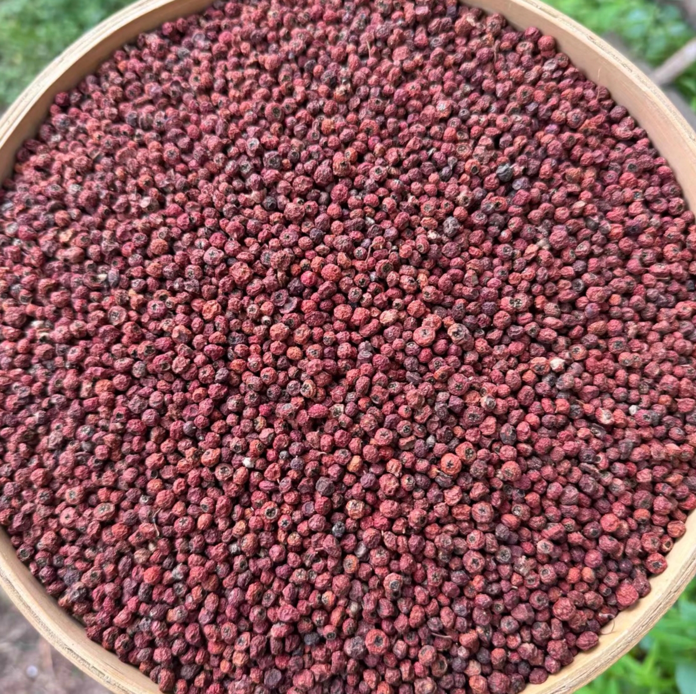 中秋好物【紫彡果】云南边境下山货 煮水 食用农产品