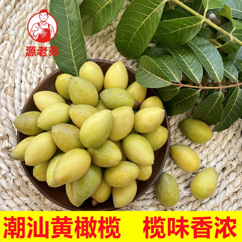 源老弟香黄橄榄新鲜采摘煲汤榨汁生吃回甘味浓肉厚
