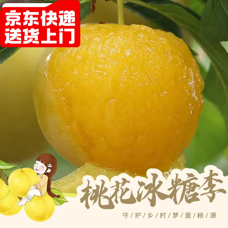 【京东包邮】汉源桃花冰糖李