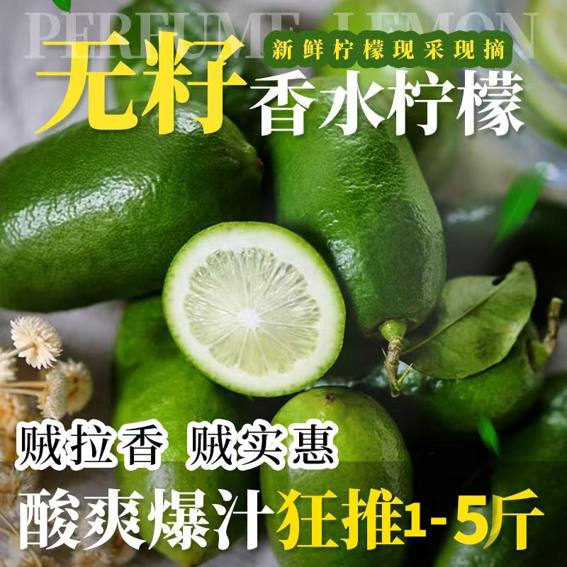 海南无籽香水柠檬新鲜当季正宗青柠檬奶茶店专用手摇暴打整箱批发