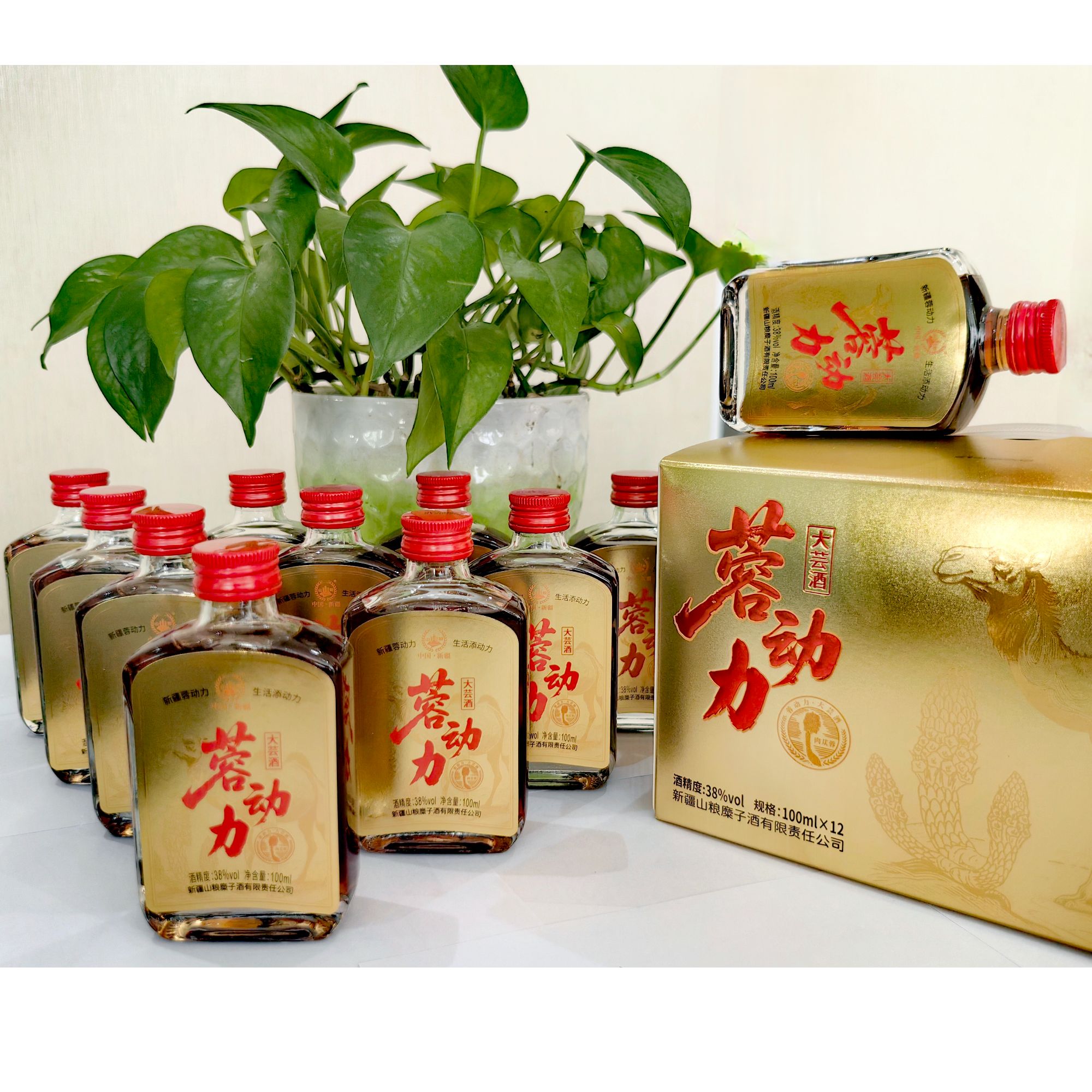 山粮新疆大芸酒荒漠苁蓉浓香型温补100ml38度礼盒12瓶38度100ml