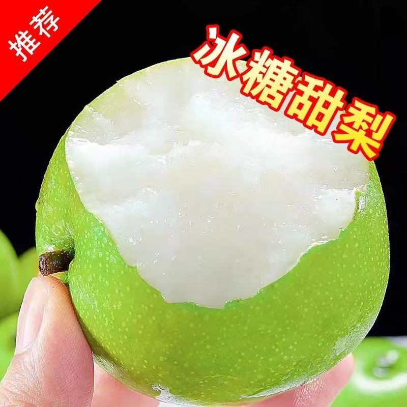 正宗安徽砀山青梨皇冠梨新鲜水果现摘现发脆甜多汁砀山梨黄冠梨甜