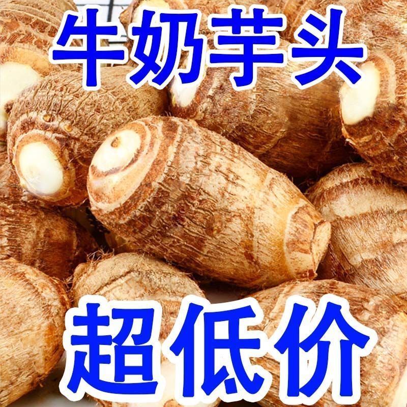 【超值】新鲜云南小芋头香芋软糯丝滑农家牛奶芋艿批发价整箱包邮