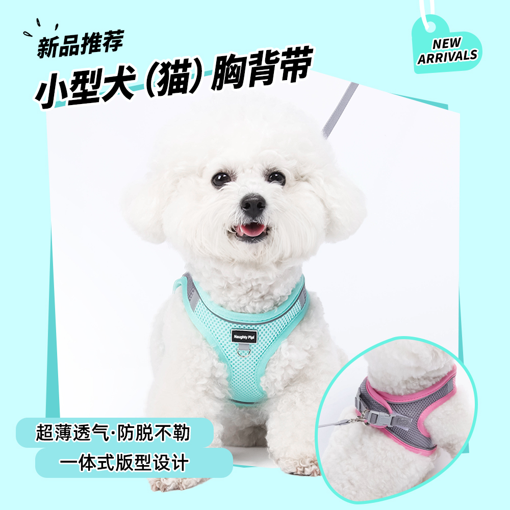 朵猫猫新款小型宠物牵引绳透气宠物胸背带防挣脱背心式宠物牵引绳