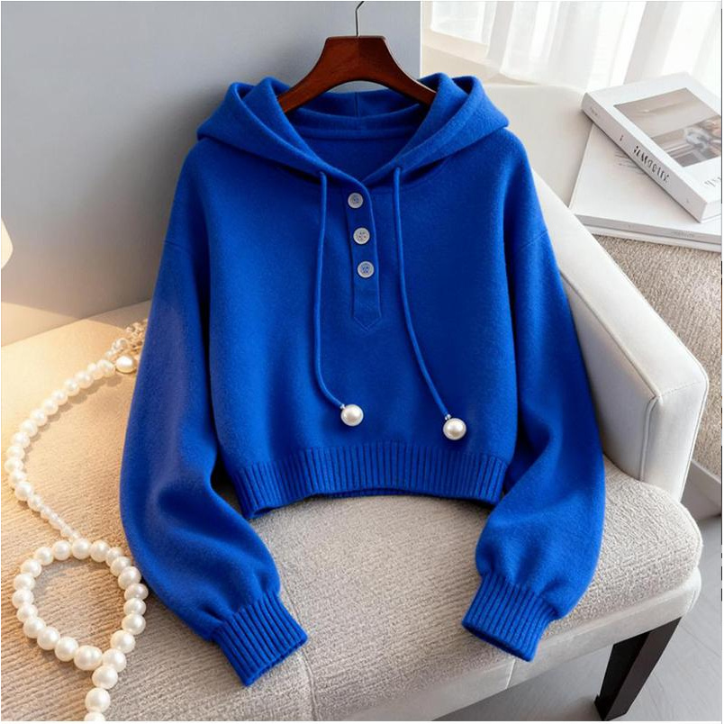 2025新款针织衫连帽卫衣女秋冬新款慵懒高级感小众显瘦时尚上衣女