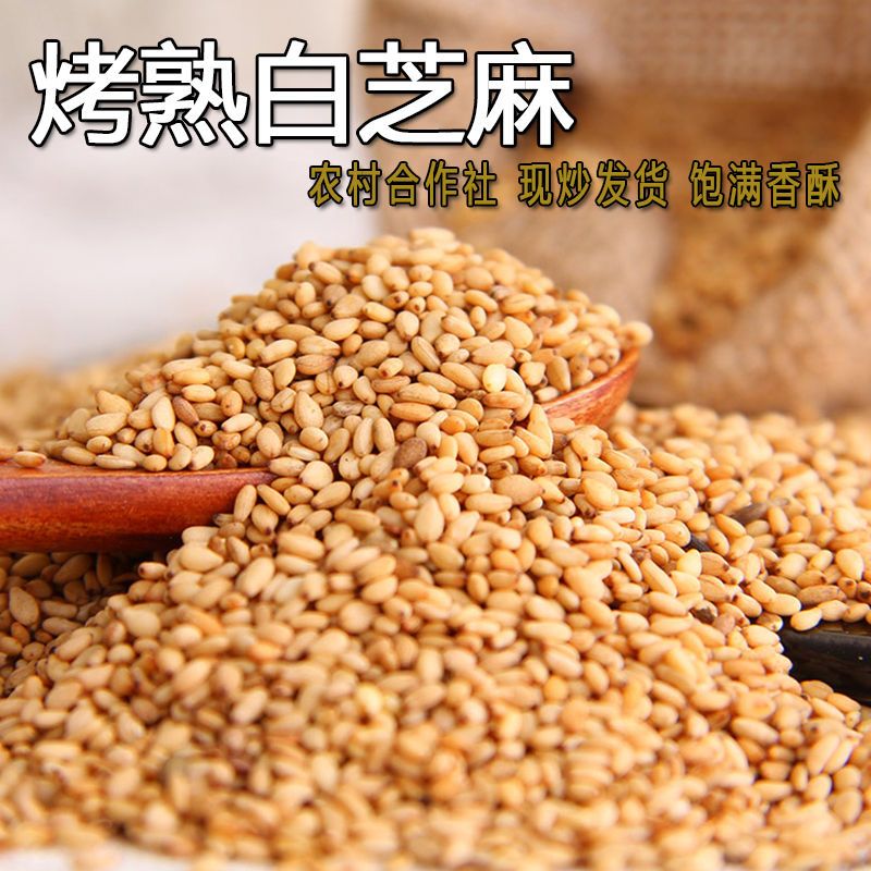 新鲜炒熟白芝麻优质芝麻干净免洗无沙