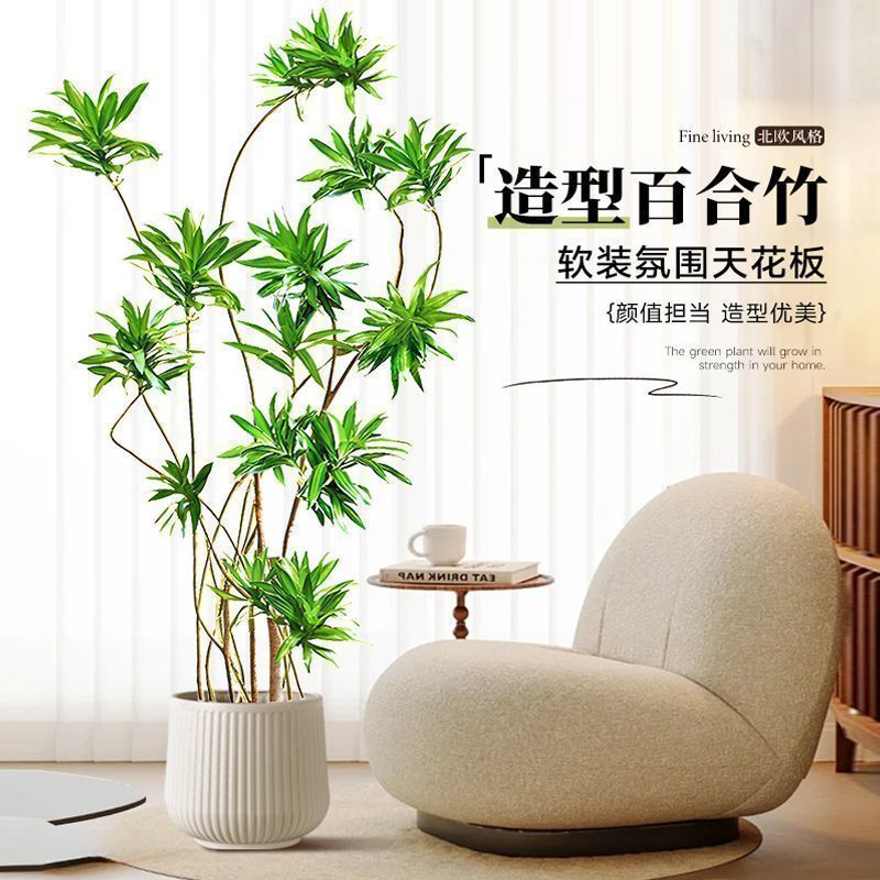 高端百合竹大型盆栽客厅金心绿植室内办公室老桩造型真花轻奢好养