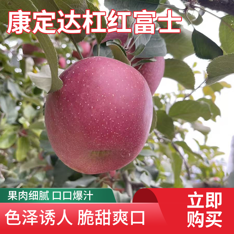 四川康定达杠红富士苹果新鲜现摘高原生态冰糖心脆甜多汁当季水果