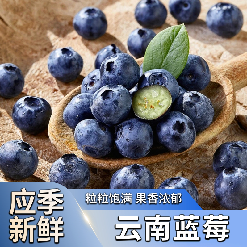 果逍园云南高山蓝莓100g盒新鲜酸甜可口 单果15-24mm+颗颗甄选