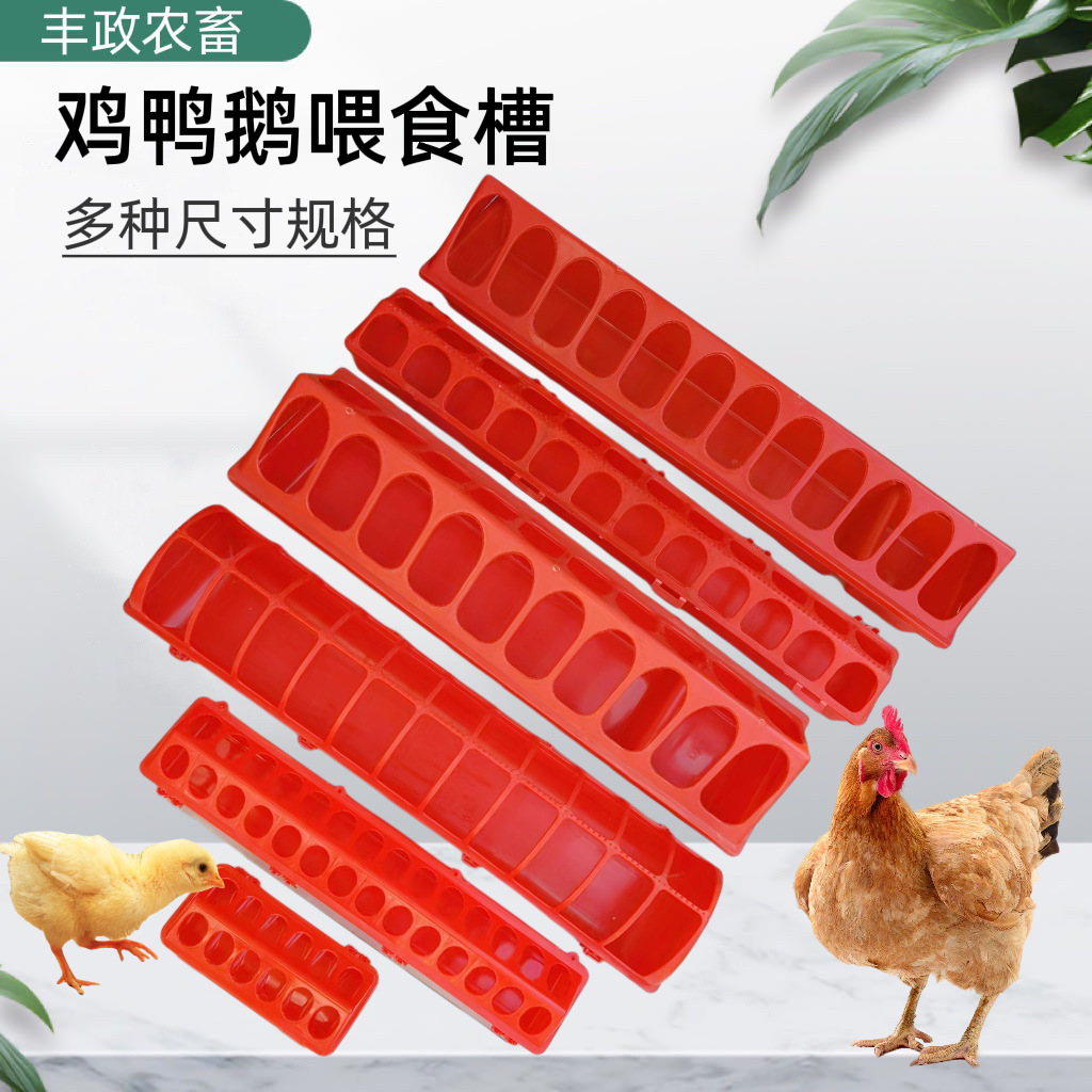 小鸡食槽子鸡鸭鹅鸟用饮水器鹌鹑饲料喂食器芦丁鸡食槽养鸡喂食器