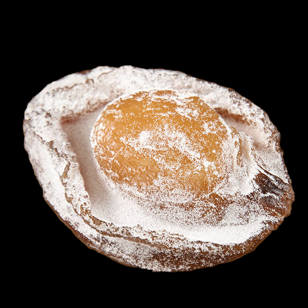 特价鲍鱼模型 干鲍A 超值装