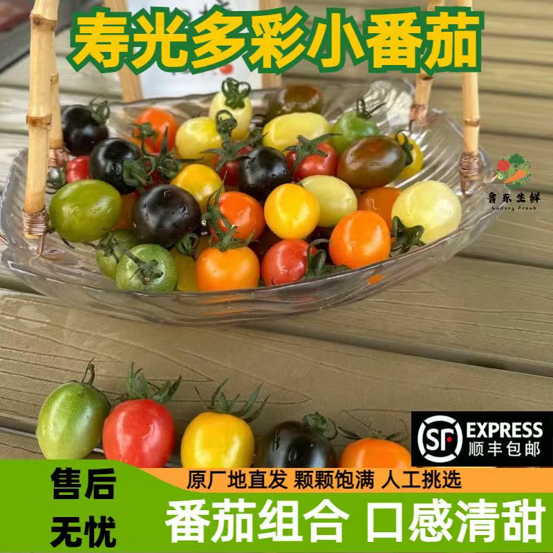 【顺丰包邮】6-7色小番茄多色圣女果混合装多彩六-七色小番茄酸甜