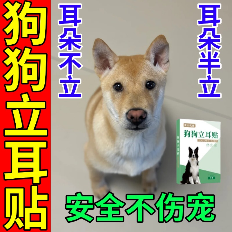 狗耳朵立耳器小狗耳朵立耳贴幼犬竖耳辅助器无胶水狗狗立耳贴