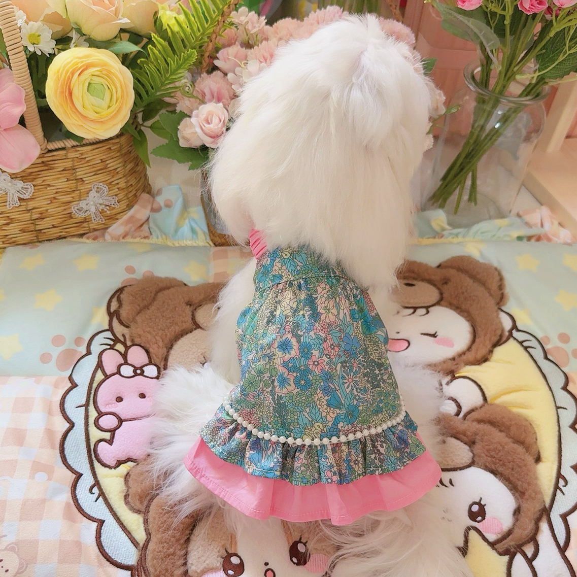 夏季新款宠物服松紧肩带碎花裙