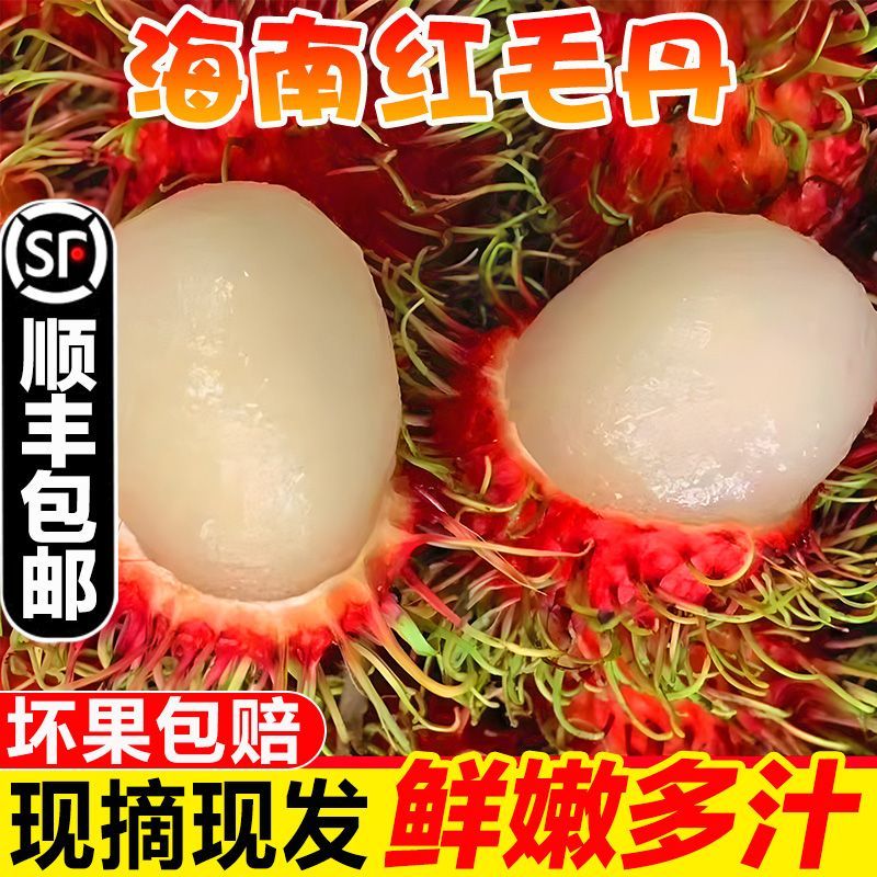 海南红毛丹新鲜毛荔枝水果毛丹果现摘当季一整箱孕妇毛丹果