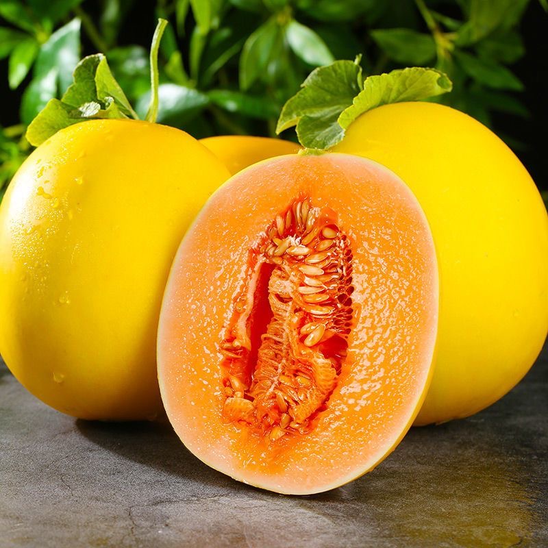 【自然熟】正宗民勤蜜瓜香甜多汁  产地直发新鲜当季JJJ