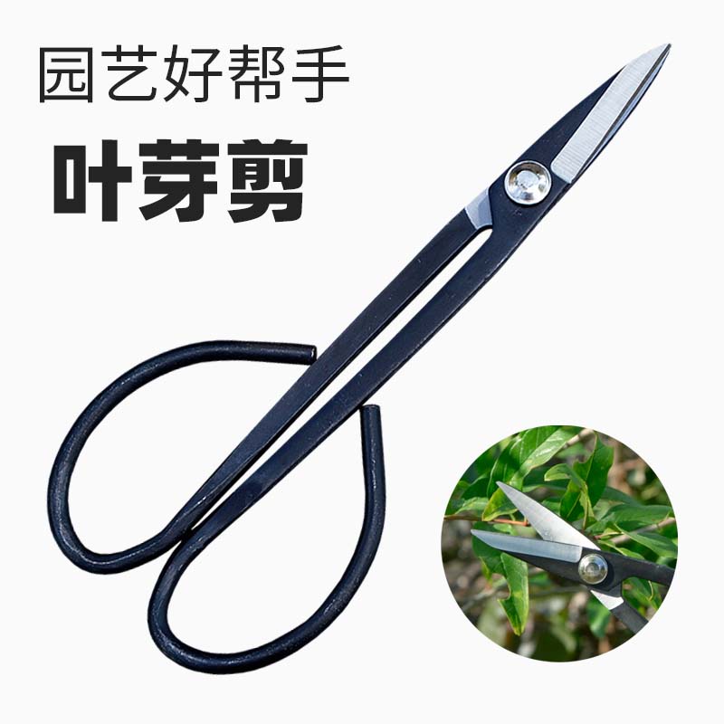 采摘葡萄专用盆栽蔬菜水果修小枝芽剪刀叶芽剪盆景兰花芽分苗剪子