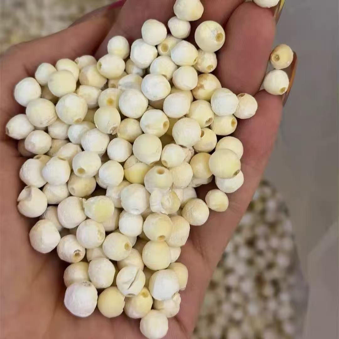 莆田特产正宗苏州2025苏芡野生芡实白鸡头米新鲜大颗粒干货